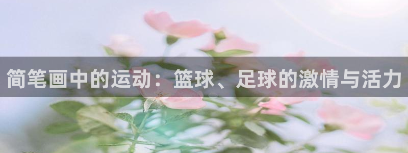 MK体育官方正版app娱乐40996:简笔画中的运动:篮球、