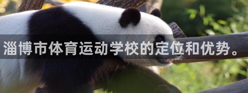 MK体育官网下载平台注册流程图:淄博市体育运动学校的定位和优