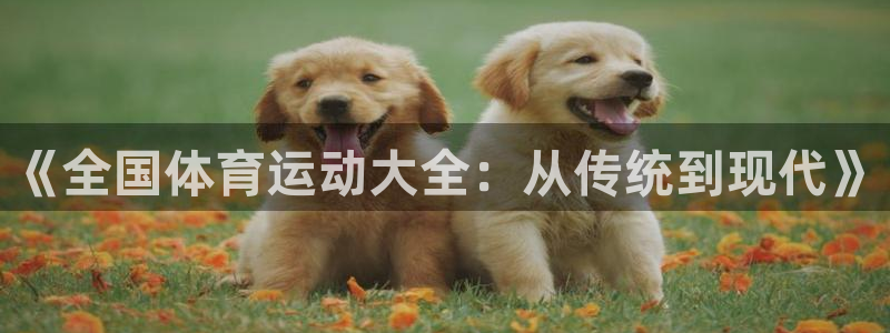 海南MK体育官网下载:《全国体育运动大全:从传统到现代》